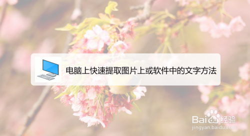 电脑怎么快速提取复制图片上/软件中的文字