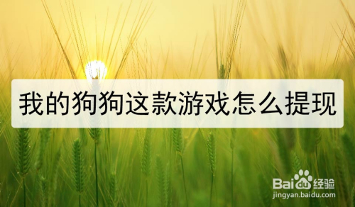 我的狗狗这款游戏怎么提现