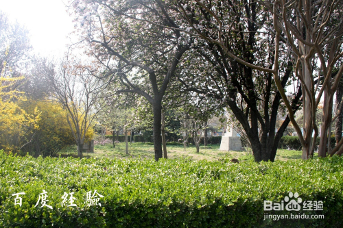 如何利用ps批量为图片添加文字水印