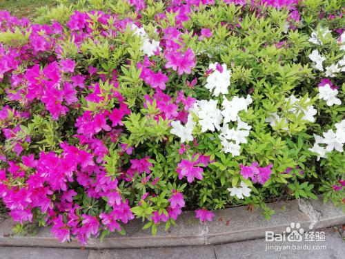 汉字五笔拼音手机百度查找的方法