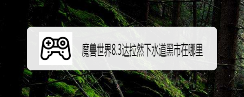 魔兽世界8.3达拉然下水道黑市在哪里