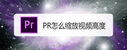PR怎么缩放视频高度