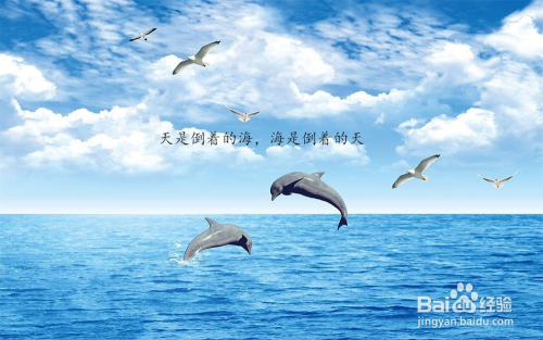 ps中怎样在图片中加文字