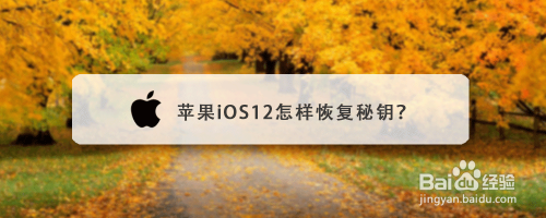 苹果iOS12怎样恢复秘钥