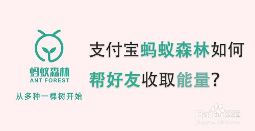支付宝蚂蚁森林如何帮好友收取能量
