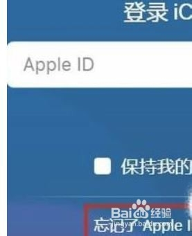 ipad icloud密码忘了怎么办