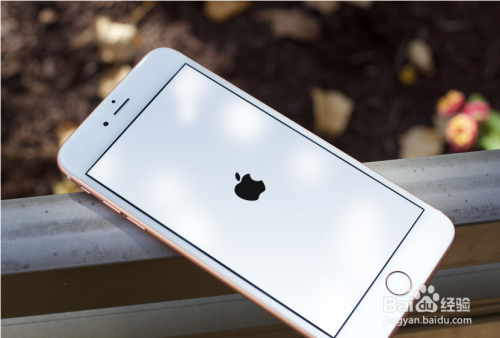 iOS 12 beta安装:如何解决常见问题