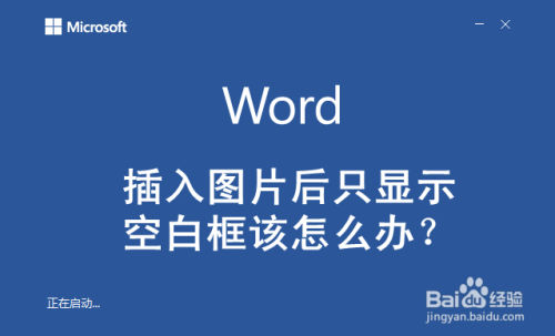 word插入图片后只显示空白框该怎么办