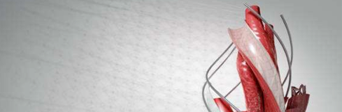 cad许可证过期怎么重新激活