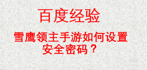 雪鹰领主手游安全密码如何设置