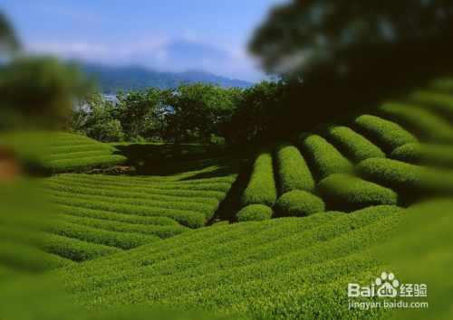 美图秀秀怎么把背景虚化