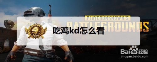 吃鸡kd怎么看
