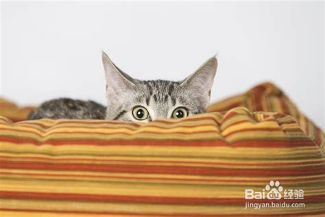 Excel隐藏工作界面窗口技巧