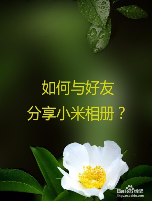 如何与好友分享小米相册的照片