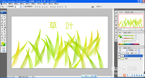 如何用PS设计草叶笔刷