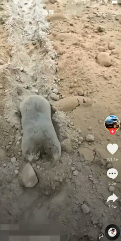 抖音怎么下载别人的视频