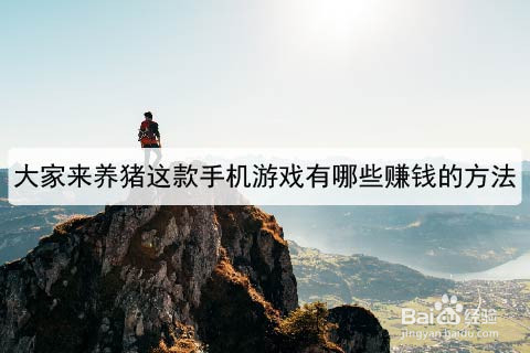 大家来养猪这款手机游戏有哪些赚钱的方法