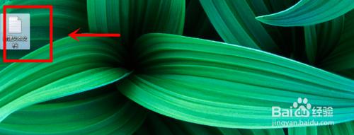 文本文档中设置自动换行的操作