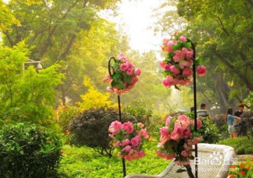 摄影艺术与哲学相关连吗