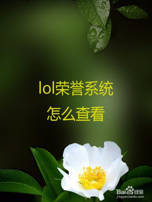 lol荣誉系统怎么查看