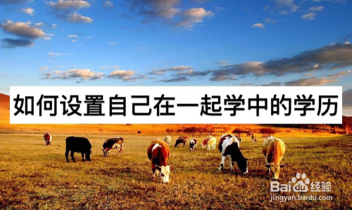 如何设置自己在一起学中的学历