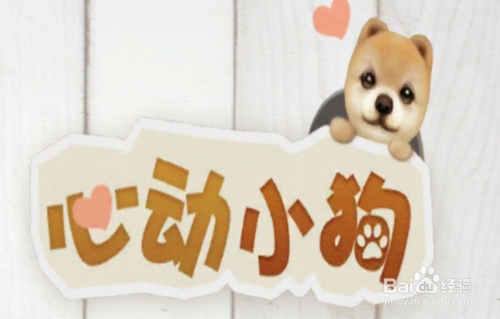 心动小狗如何给自己的小狗买服装