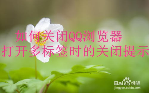 如何关闭QQ浏览器打开多标签的关闭提示
