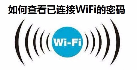 如何查看已连接WiFi的密码