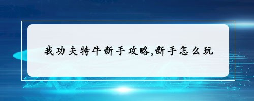 我功夫特牛新手攻略,新手怎么玩