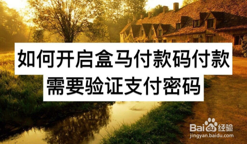 如何开启盒马付款码付款需要验证支付密码