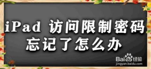 iPad 访问限制密码忘记了怎么办