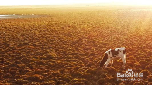 如何拍出好看的旅游照