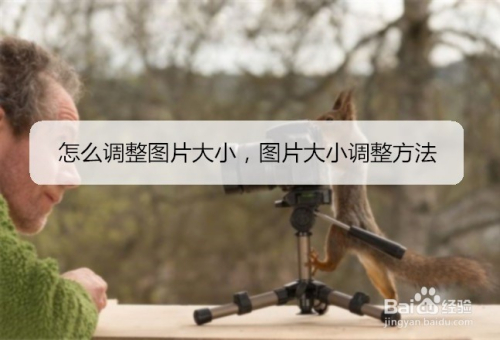 怎么调整图片大小,图片大小调整方法