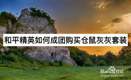和平精英如何成团购买仓鼠灰灰套装