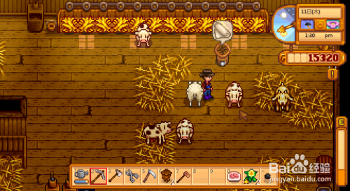 星露谷物语牛怎么繁殖 星露谷物语牛怎么怀孕