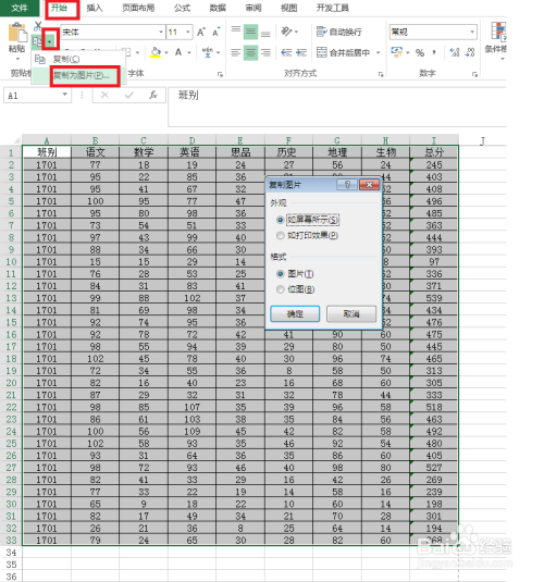 EXCEL数据怎样转换成图片