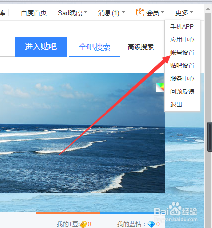 电脑版百度贴吧中更换手机号码的详细步骤