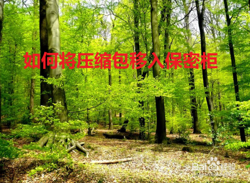 如何将压缩包移入保密柜