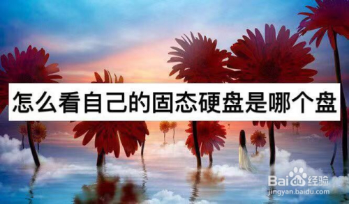 怎么看自己的固态硬盘是哪个盘