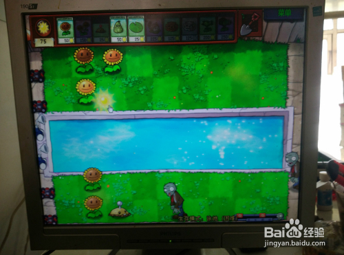 植物大战僵尸生存模式(困难)泳池的玩法