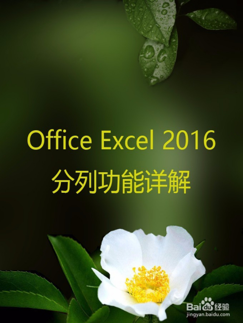 Office Excel 2016 分列功能详解