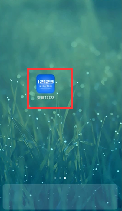 手机上如何查询违章