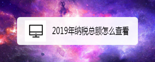 2019年纳税总额怎么查看