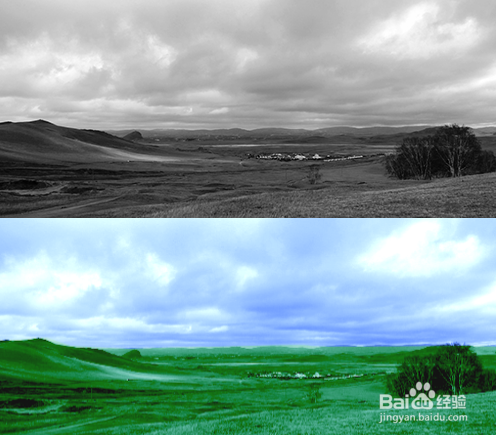 AE 如何利用色阶来给黑白图片上色