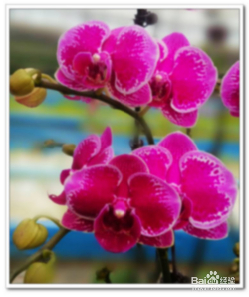 如何调整相片清晰度