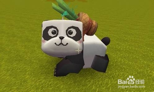 迷你世界怎么到竹林