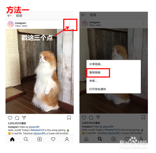怎么下载保存ins上的图片、视频和快拍