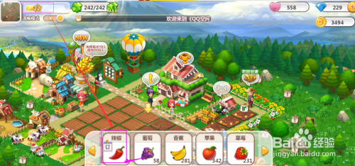 QQ农场中何时可以种植辣椒,怎么种