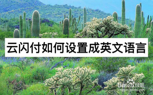 云闪付如何设置成英文语言
