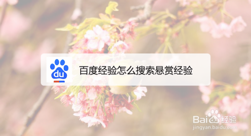 百度经验怎么搜索悬赏经验/优质悬赏